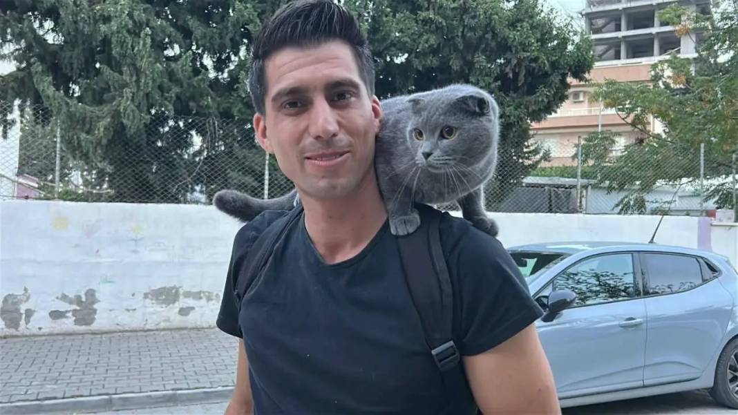 Hatay’da Omuzda Şehri Turlayan Kedi Kentin Maskotu Oldu! 5
